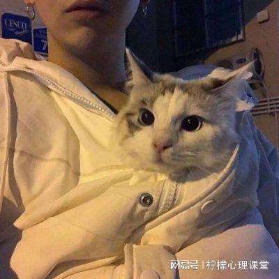 青莲剑墟官方正版手游下载